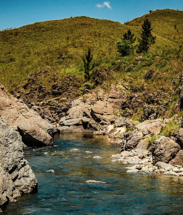 El Tonto del&nbsp;Pueblo