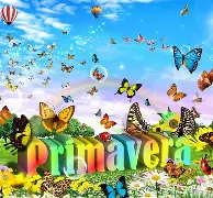 PRIMAVERA 2025 RADIO&nbsp;NEHUEN