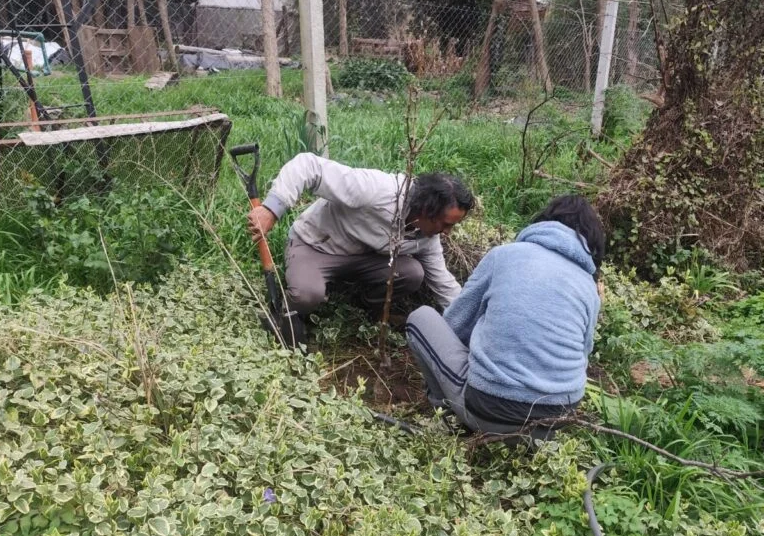 Bosque Comestible: un proyecto de vida